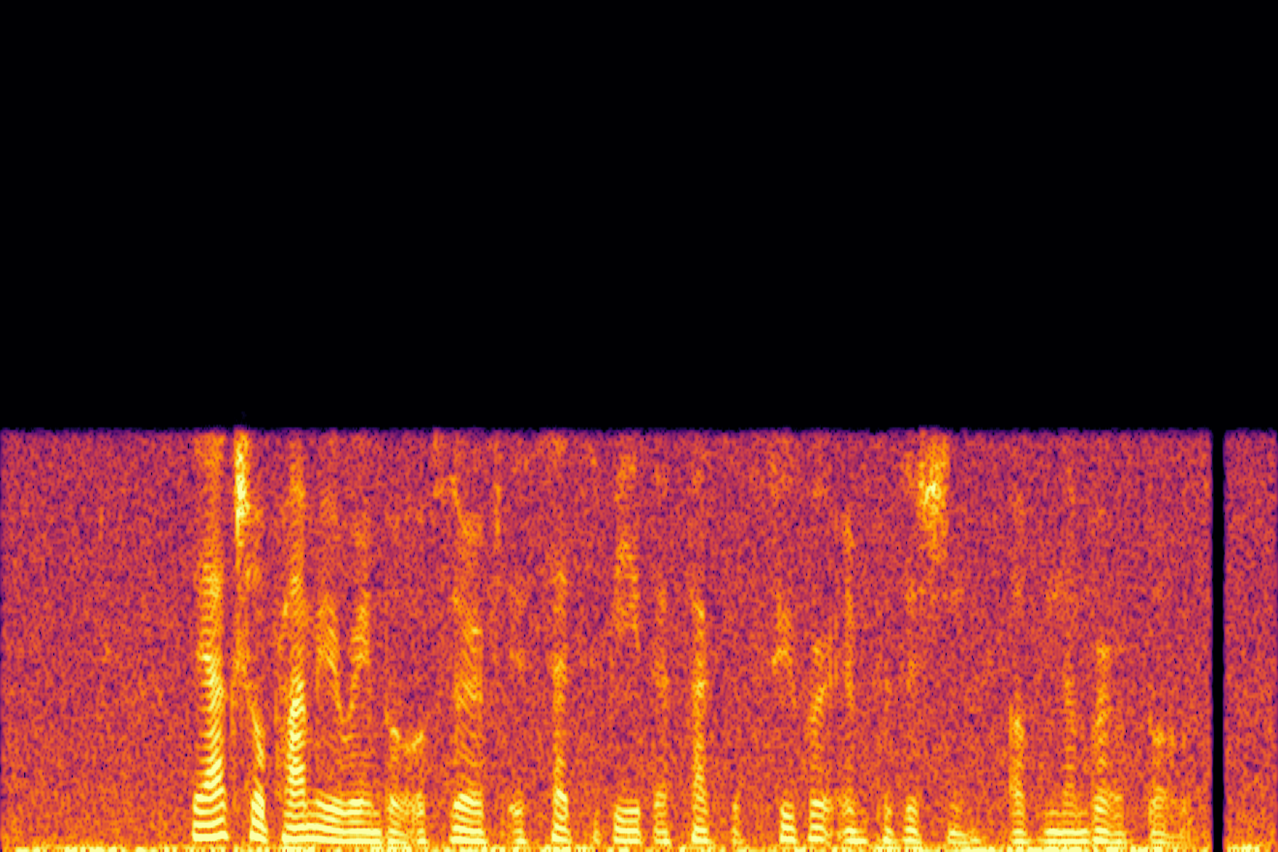 Input Spectrogram